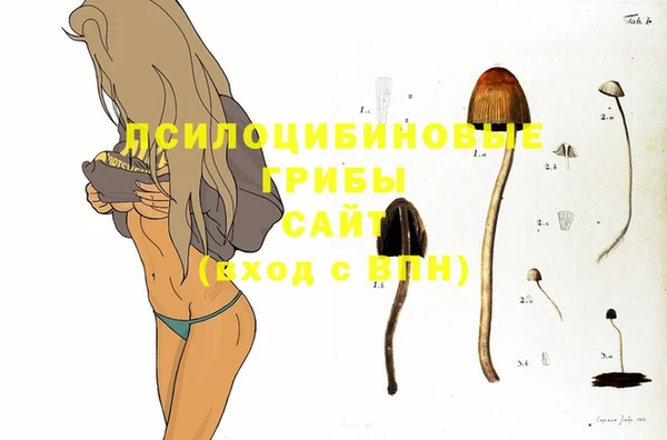 синтетический гашиш Богородск