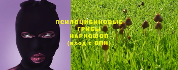 экстази Богородицк