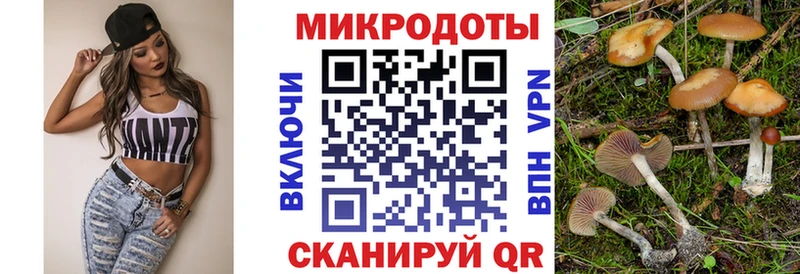 Псилоцибиновые грибы Psilocybine cubensis  гидра зеркало  Невьянск  закладка 